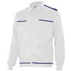 Chaqueta vértice blanco y azul Velilla