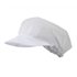 Cofia profesional con rejilla blanca Velilla