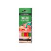 Adhesivo termofusible Max Fluor Salki 4301009