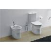 Inodoro Easy cisterna baja rimflush, Sanindusa