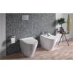 Inodoro Sanlife compacto rimflush cisterna alta, Sanindusa